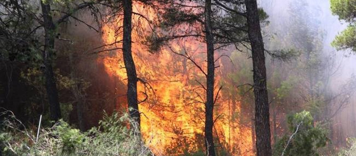 Μέτωπο φωτιάς στην περιοχή Αγία Θέκλα της Άνδρου